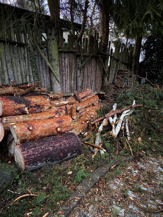 [обещани] Безплатно - дърва за огрев или дърводелство