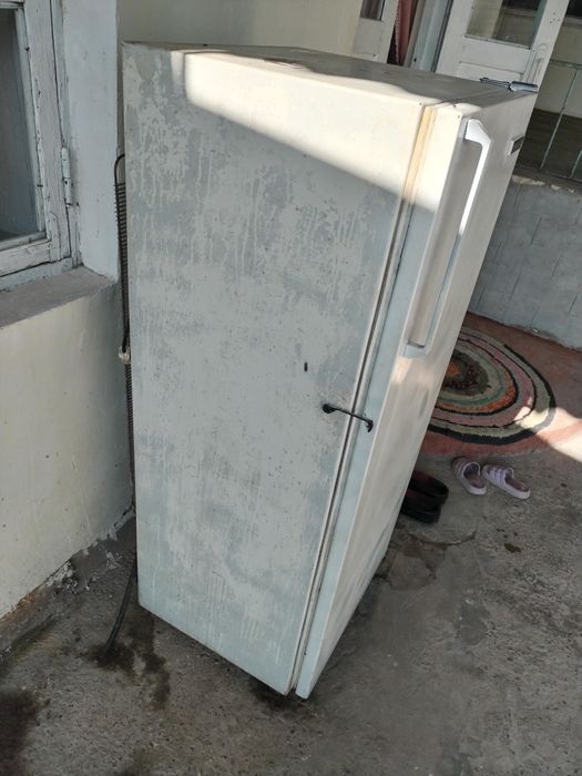 Xoladennik xolati yaxwi xammanarsalari iwlidi