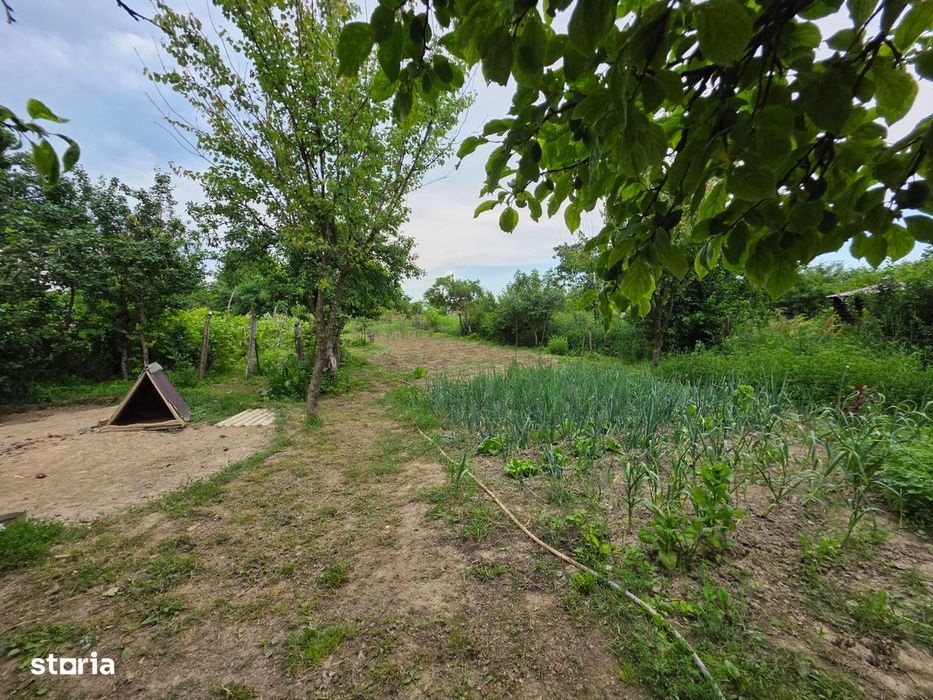 Casă în Horia, cărămidă, teren 1.260 mp, toate utilitățile, 3 camere