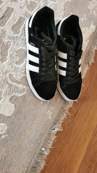 Коросовки кампусы