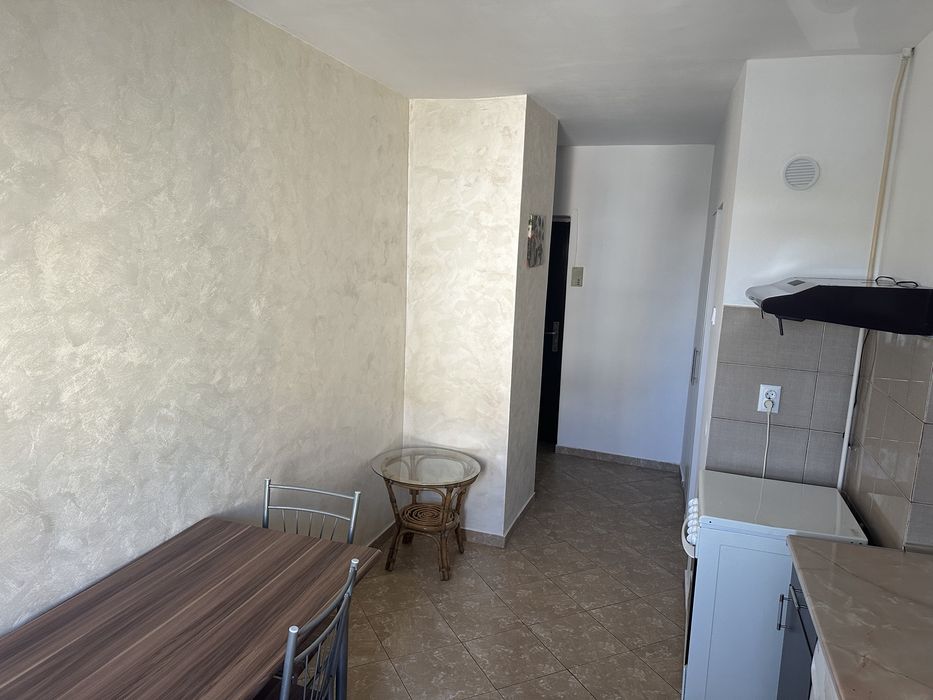 Apartament 1 camera Pacurari