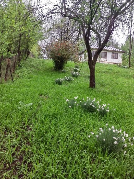 Vând teren în Aluniș, Județul Prahova