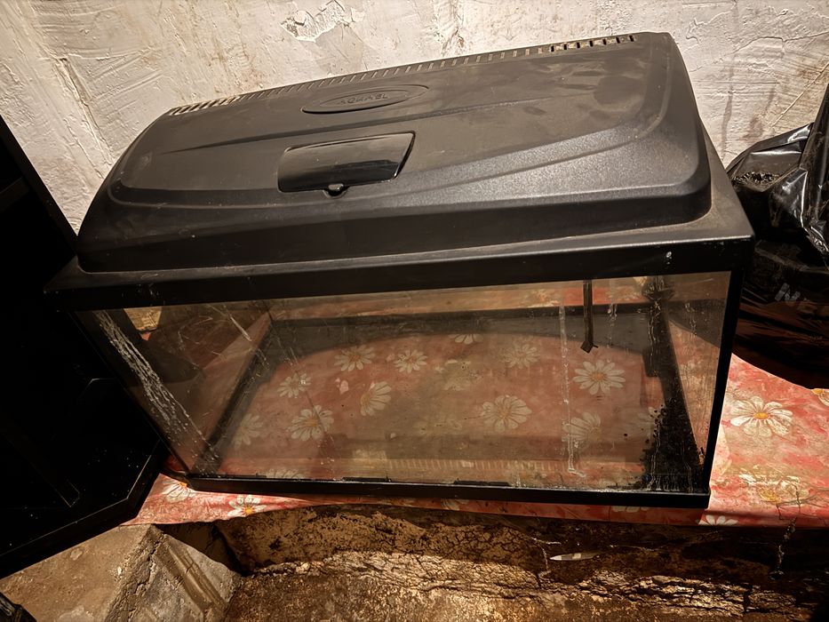 Vand acvariu pesti 60 l