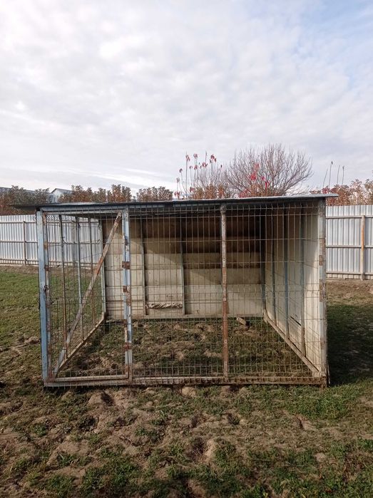 Товук хона холати яхши