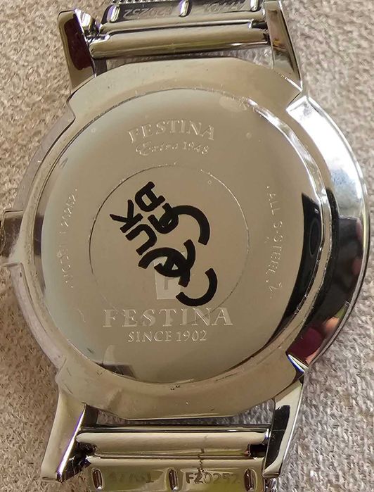 Мъжки часовник Festina F20252, Сребрист