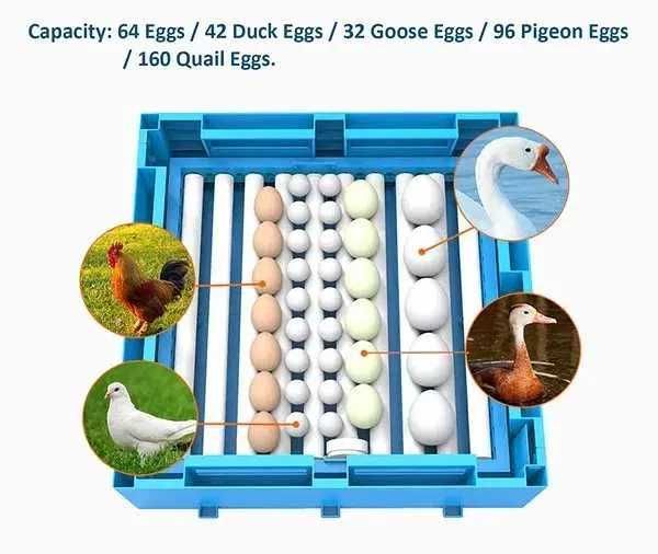 Инкубатор для птиц