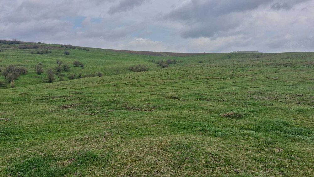 Teren Extravilan- Pășune