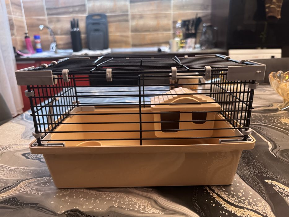 Продам крысу с клеткой