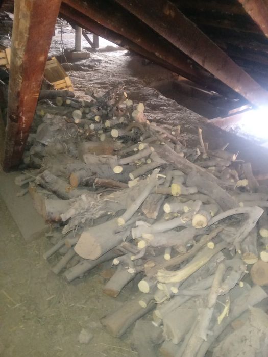 Xar xil turdagi o'tinlar