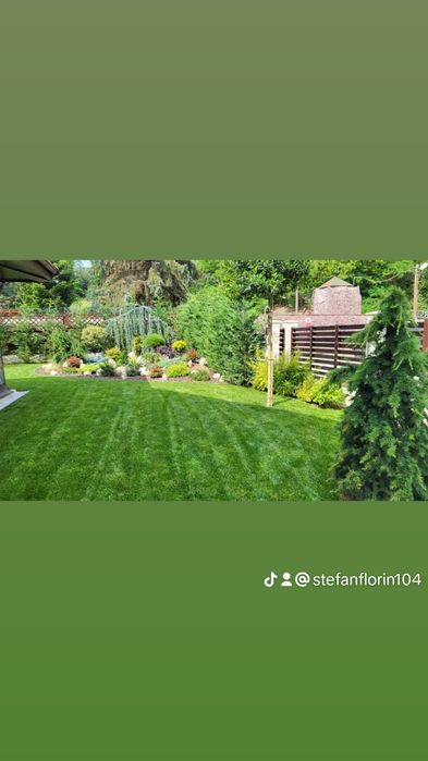 Gazon rulou vând și montez