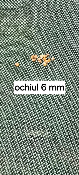 Plasa pescuit, cu verificare,,,năvod