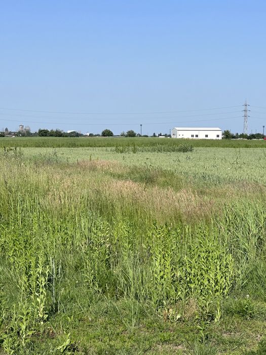 Teren de vanzare Ploiesti