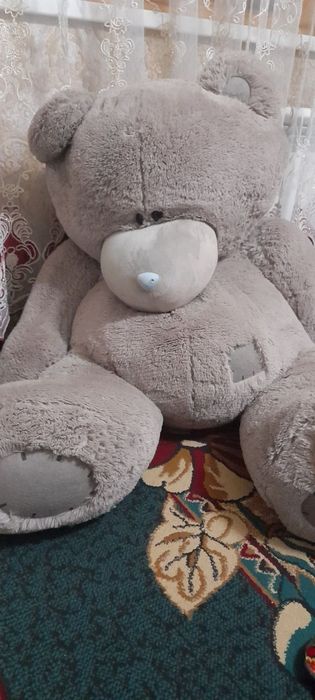 Katta Teddy ayigʻi