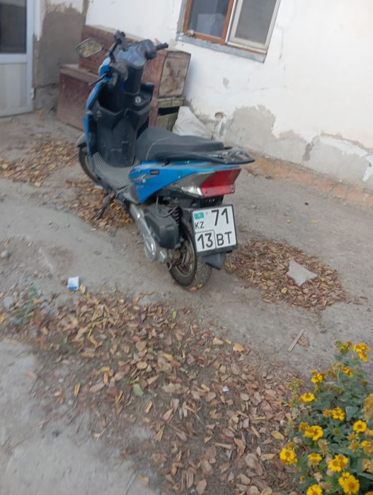 Келиндер кориндер