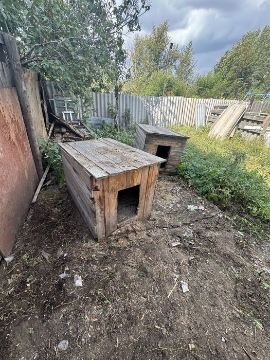 Будка для собаки