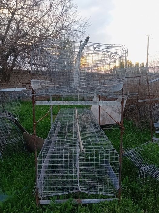 Tovuq boqishga setka