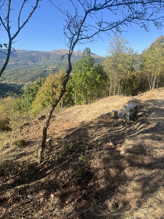 Поземлен имот с. Свидня