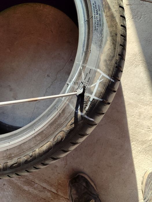 255 45 R19 летние шины