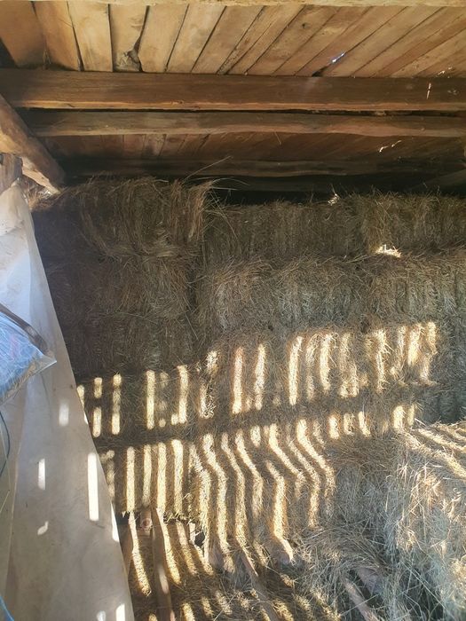 Baloti notret de gradina ne ploati.