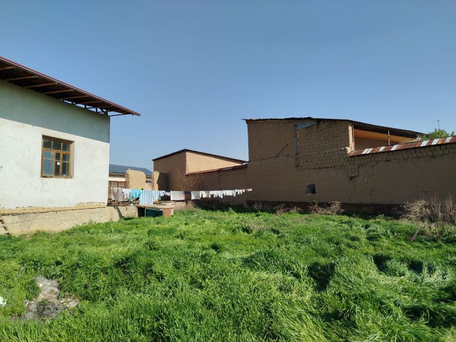 Oltintepa pabesada 4,4 uy sotiladi
