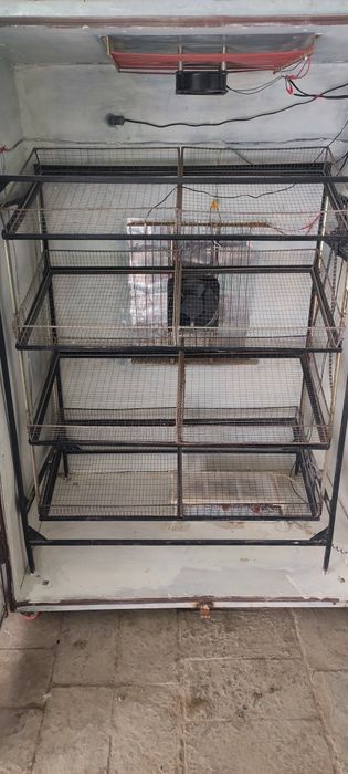 Inkubator 100 % Avtomatlashtirilgan sezon boshlandi