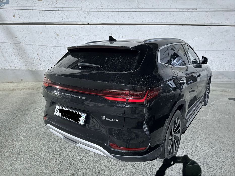 BVD chempion 2023  Rent car