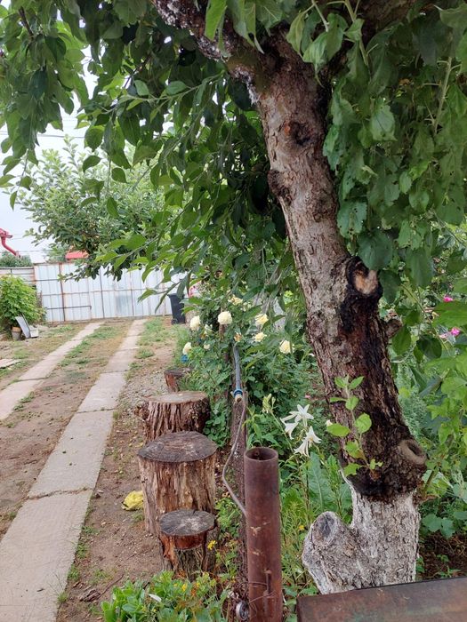 Vand casa de locuit si teren 4000 mp