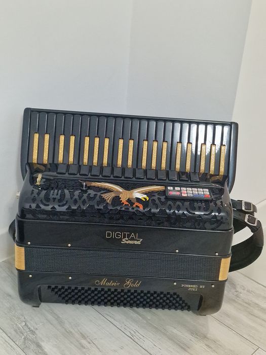 Acordeon digital gold