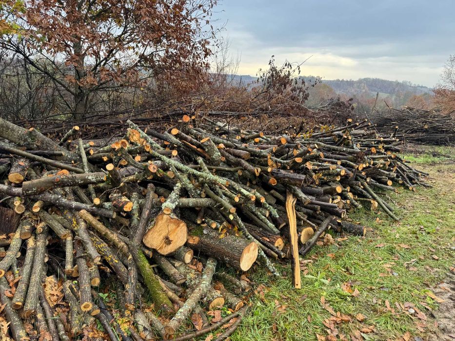 lemn esenta tare  pentru foc