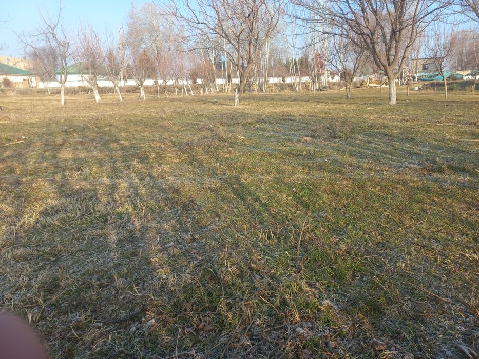 Тохиршайх МФЙ Тохиршайх