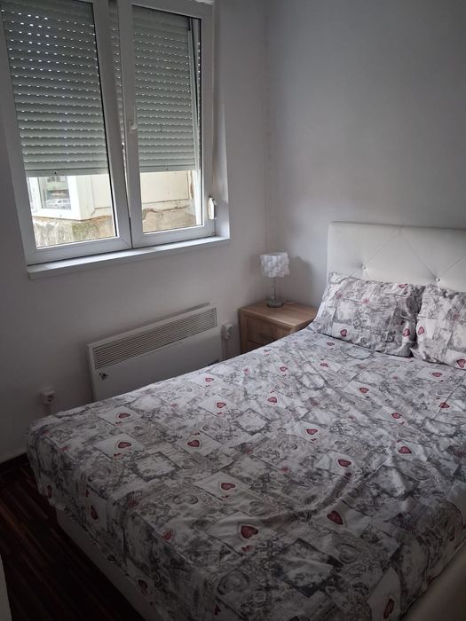 Apartament Alesd