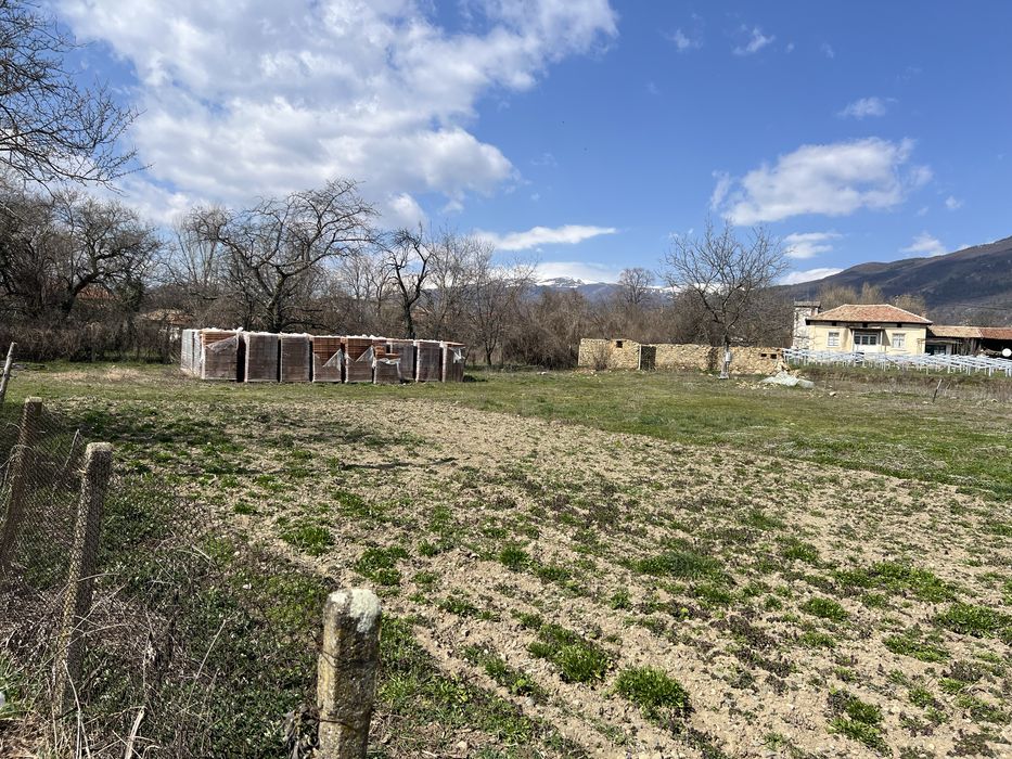 Голям, слъвчев парцел.