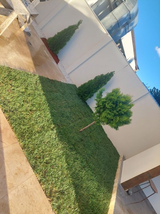 Amenajări grădini gazon și plante ornamentale