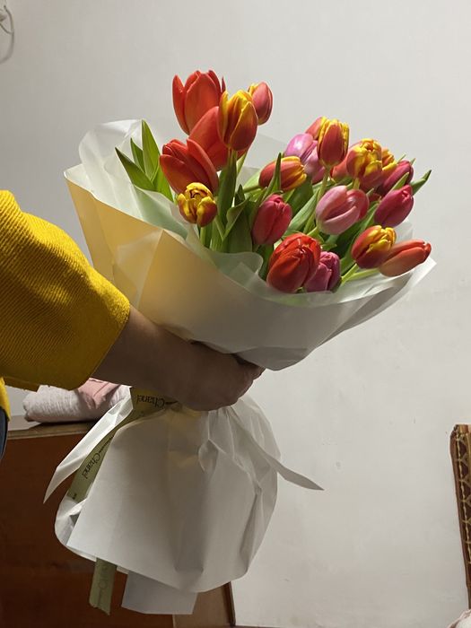 Тюльпаны срочно