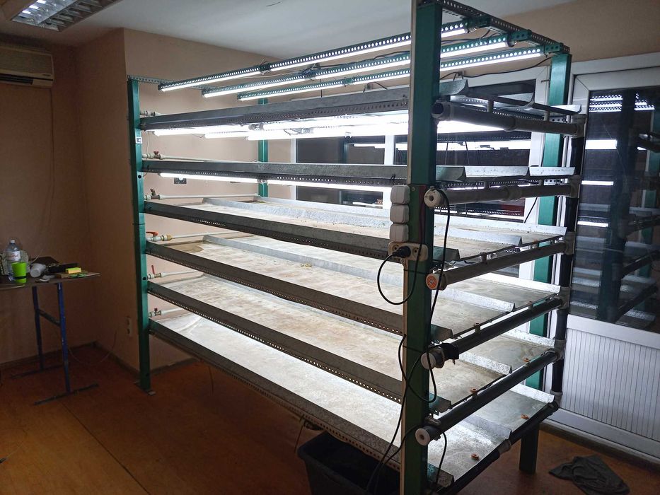 Стеллаж микрозелень системой автополива.