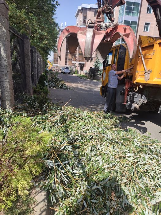 спил деревьев любой сложности