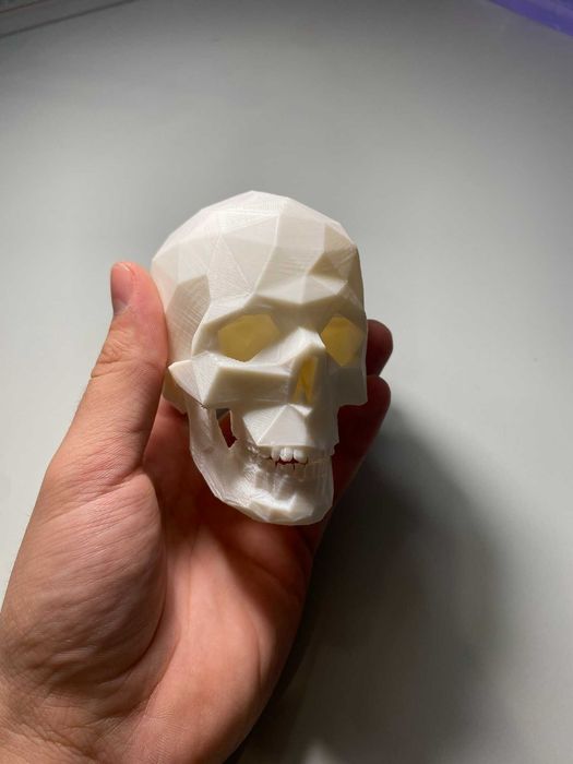 3D принтиран череп