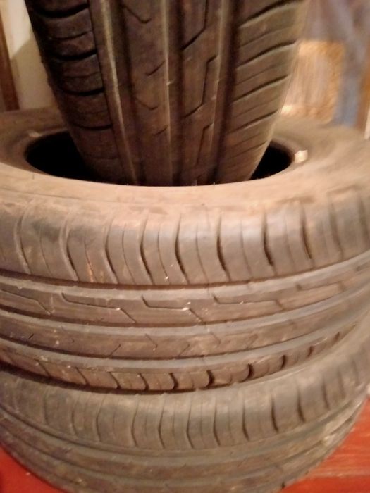 Продам 4 болона в