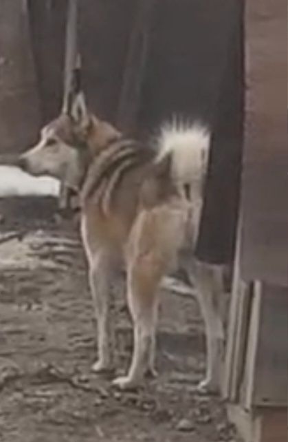 Продам Продам Продам