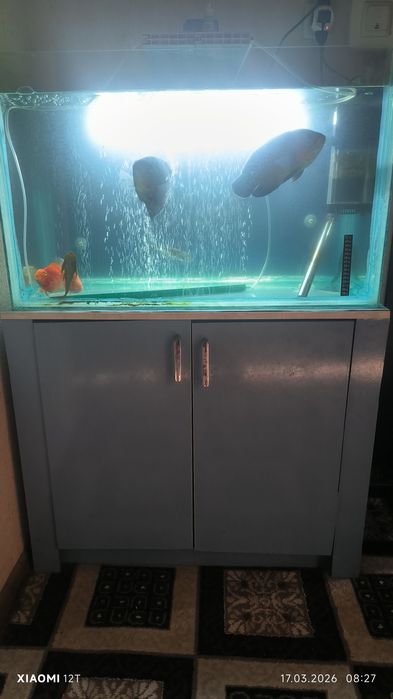 Аквариум с рыбками