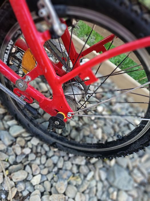 Bicicleta Pegas dama