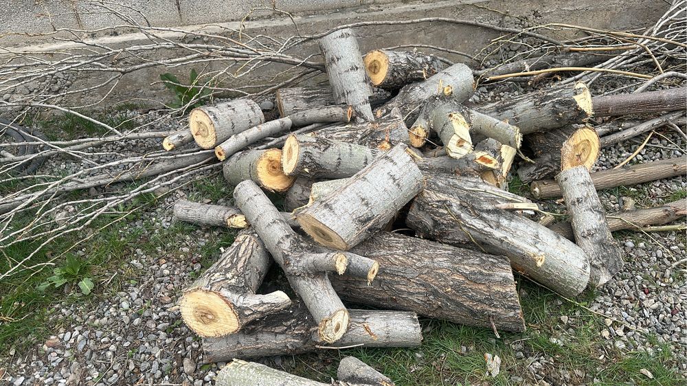 Бесплатно отдам дрова