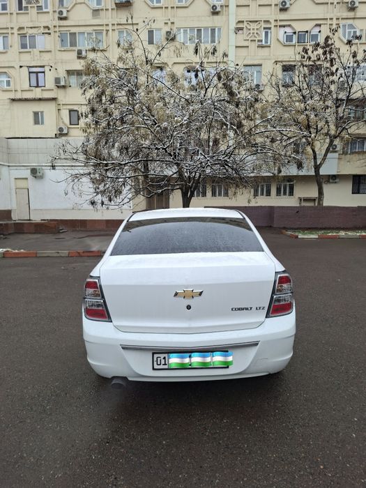 Cobalt Midnight 2025