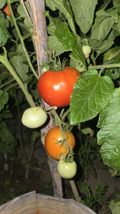 Продам участок 8 соток