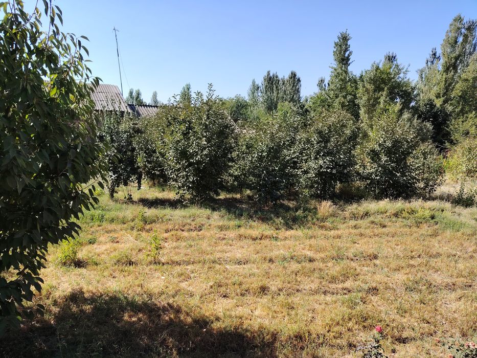 Yer sotildi uyimizni yarimi 10 sotig sotigi 10 ming kelishildi