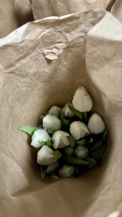 Тюльпаны в розницу доставка цветы