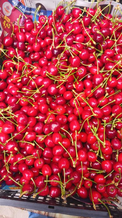 Cireșe, Cireșe, Cireșe 20RON / kg
