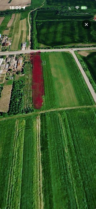 Teren intravilan Robanesti -Bojoiu 2500mp canalizare si gaze in lucru1