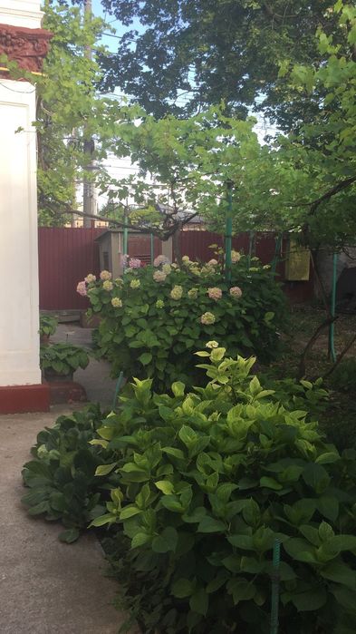 casa de vanzare Braila