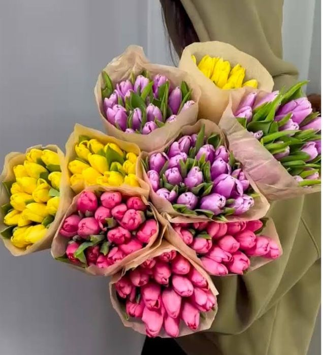 Свежие тюльпаны оптом, недорого